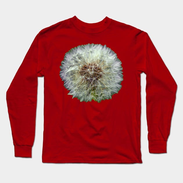 Dandelion Clock Long Sleeve T-Shirt by dalyndigaital2@gmail.com